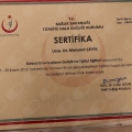 Resmi büyüt: certificate 1