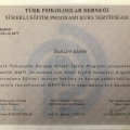 Resmi büyüt: certificate 4