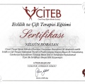Resmi büyüt: certificate 8