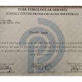 Resmi büyüt: certificate 9