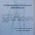 Resmi büyüt: certificate 19