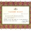 Resmi büyüt: certificate 8