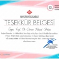 Resmi büyüt: certificate 2