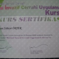 Resmi büyüt: certificate 25