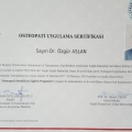 Resmi büyüt: certificate 10