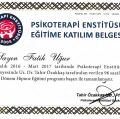 Resmi büyüt: certificate 6