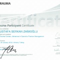 Resmi büyüt: certificate 23
