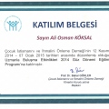 Resmi büyüt: certificate 24