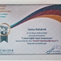 Resmi büyüt: certificate 7