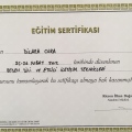 Resmi büyüt: certificate 15