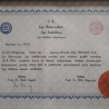 Resmi büyüt: certificate 1