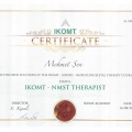 Resmi büyüt: certificate 1