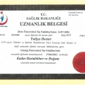 Resmi büyüt: certificate 1