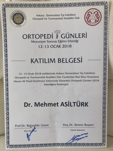 Mehmet Asiltürk-5