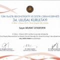Resmi büyüt: certificate 25