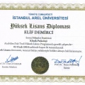 Resmi büyüt: certificate 2