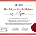 Resmi büyüt: certificate 4