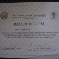 Resmi büyüt: certificate 1