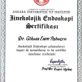 Resmi büyüt: certificate 6