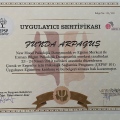 Resmi büyüt: certificate 8