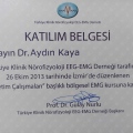 Resmi büyüt: certificate 1