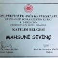 Resmi büyüt: certificate 13