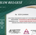 Resmi büyüt: certificate 7