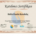 Resmi büyüt: certificate 2