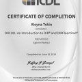 Resmi büyüt: certificate 4