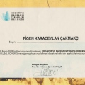 Resmi büyüt: certificate 7