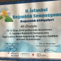 Resmi büyüt: certificate 6