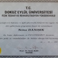 Resmi büyüt: certificate 30