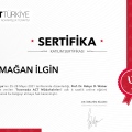 Resmi büyüt: certificate 2