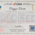 Resmi büyüt: certificate 17