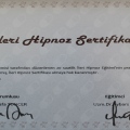 Resmi büyüt: certificate 22