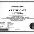 Resmi büyüt: certificate 11