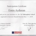 Resmi büyüt: certificate 4