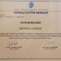 Resmi büyüt: certificate 7