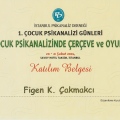 Resmi büyüt: certificate 1