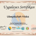 Resmi büyüt: certificate 2