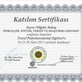 Resmi büyüt: certificate 7