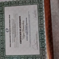 Resmi büyüt: certificate 6