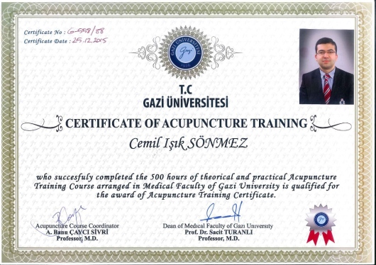 Cemil Işık Sönmez-10