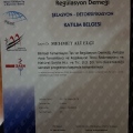 Resmi büyüt: certificate 2