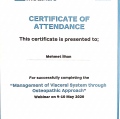 Resmi büyüt: certificate 3