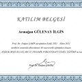 Resmi büyüt: certificate 4