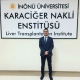 Gökalp Okut