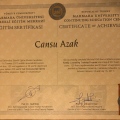Resmi büyüt: certificate 10