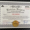 Resmi büyüt: certificate 3