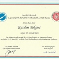 Resmi büyüt: certificate 29